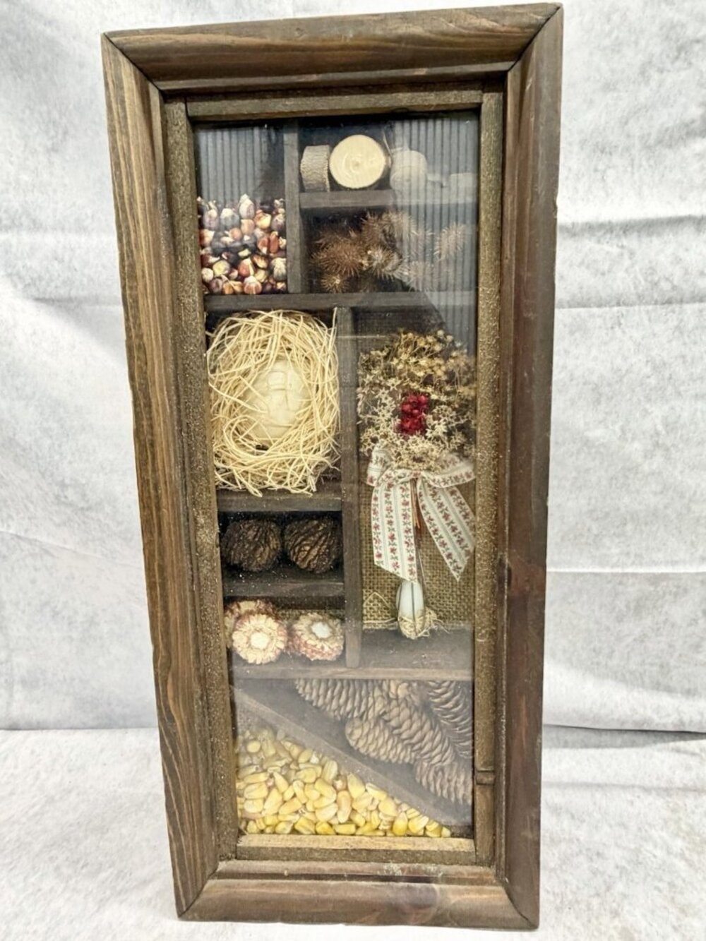 Botanical Vintage Shadow Box Diorama Dried Flowers Pinecones Corn Seeds 16x7